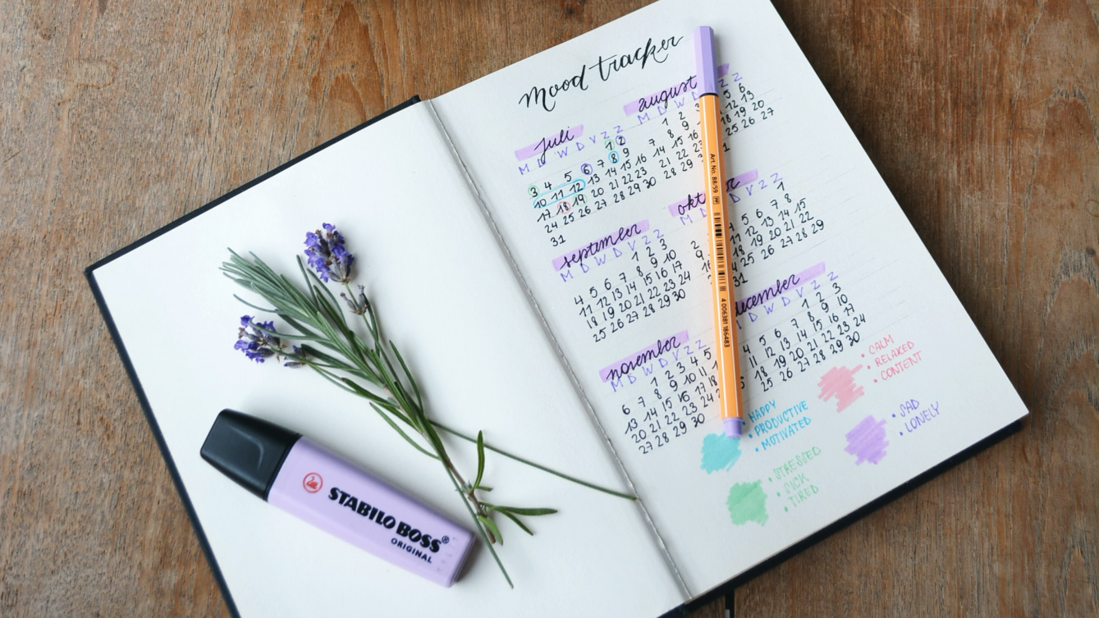 Bullet Journal Basics 4 Simple Concepts Go Before Green